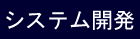 system